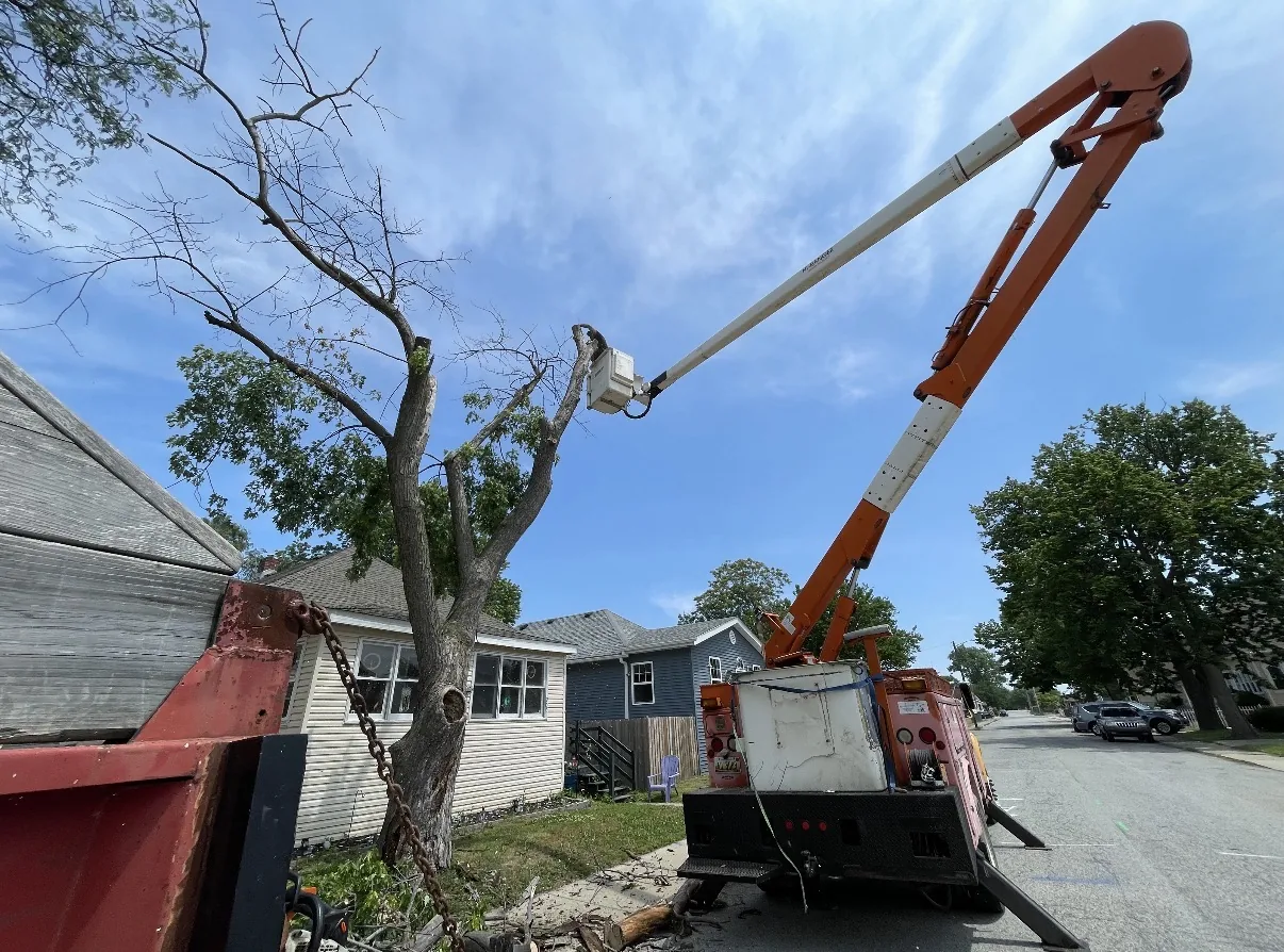Professional bucket truck used during tree work