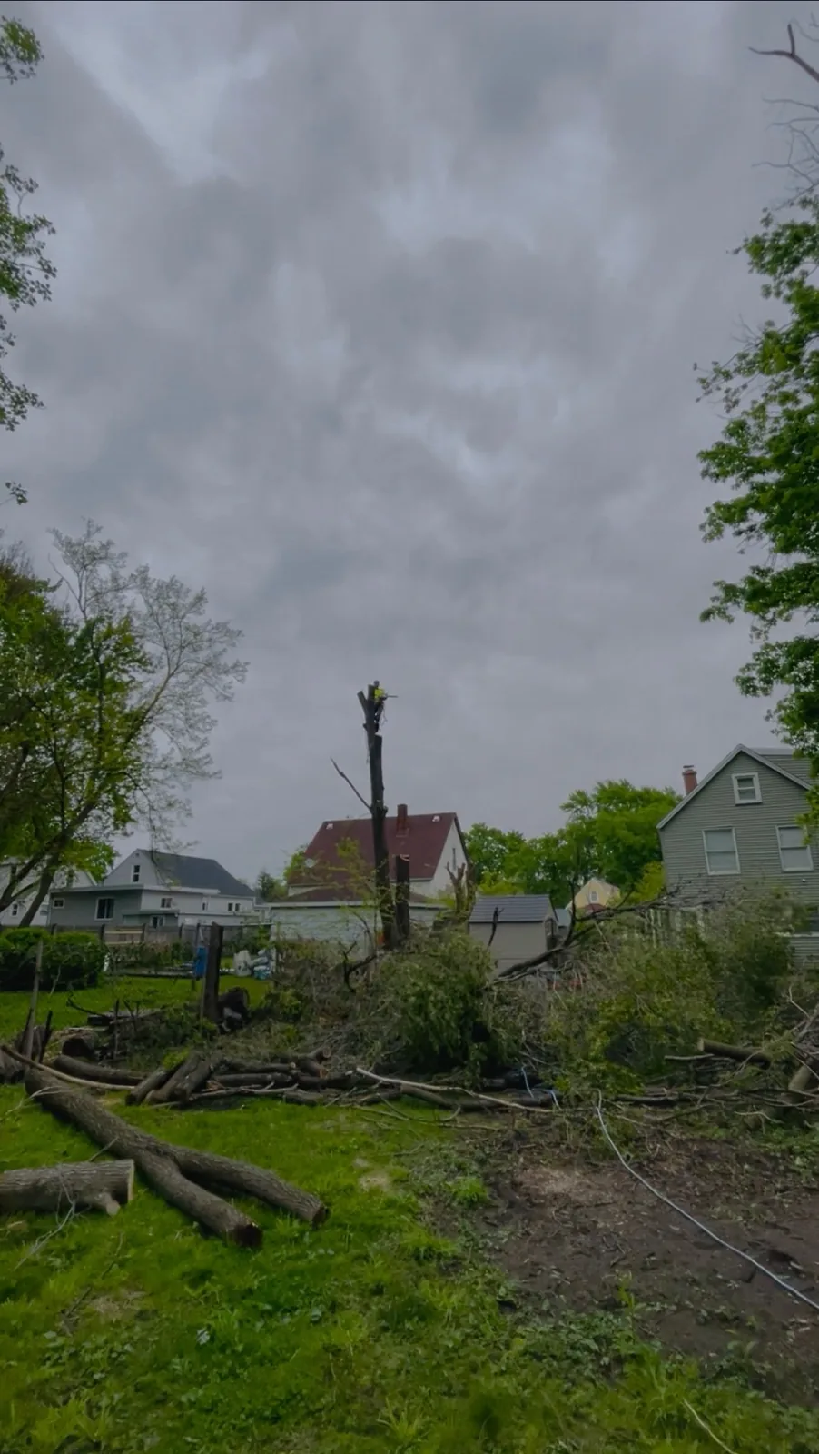 Tree worker removing a storm damaged tree