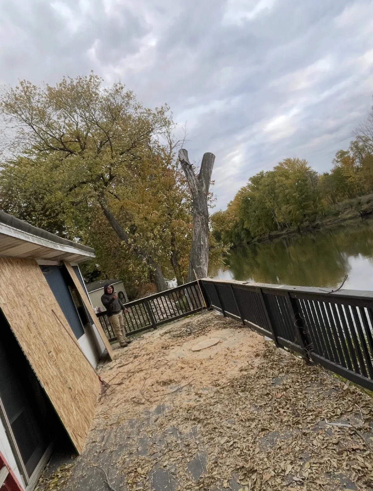 Tree removal worksite after cutting near a deck