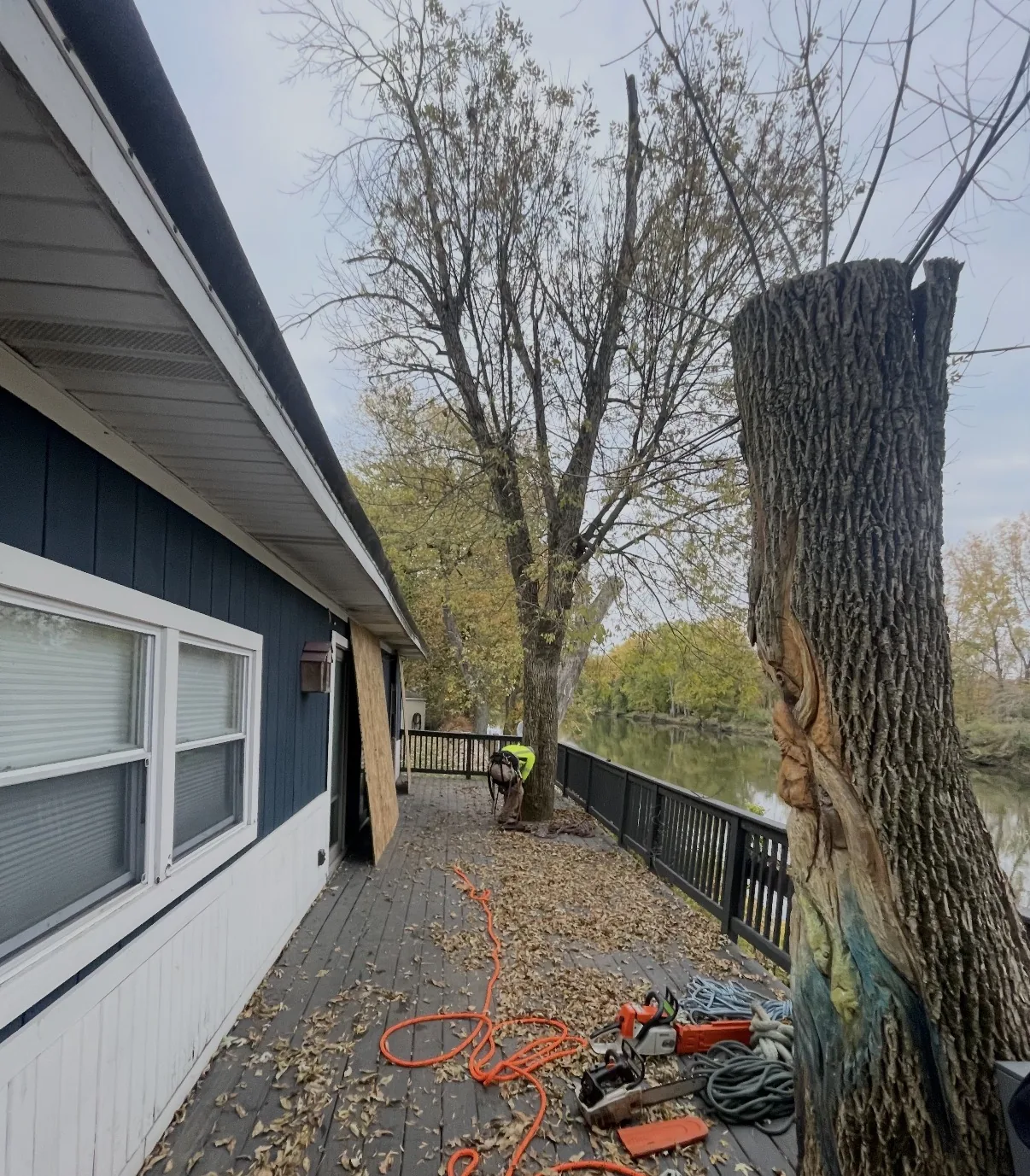 Large tree section beside a deck during removal